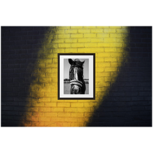 Framed Black & White Photo Print Poster "White Mule" on black and yellow brick wall. Shows beautiful horse with white mule. Photography by Jacob Sellström. Printed on matte paper with wooden frame. Two sizes: 8x10, 12x16.