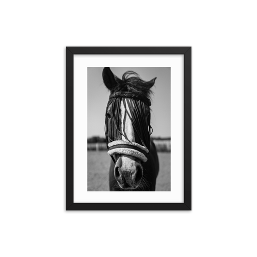 Framed Black & White Photo Print Poster 