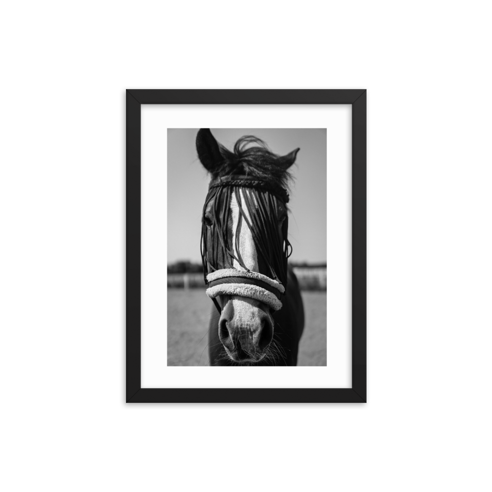 Framed Black & White Photo Print Poster 