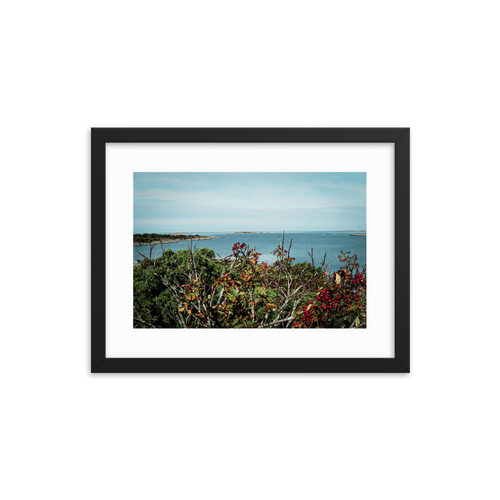 Framed Photo Print Poster 