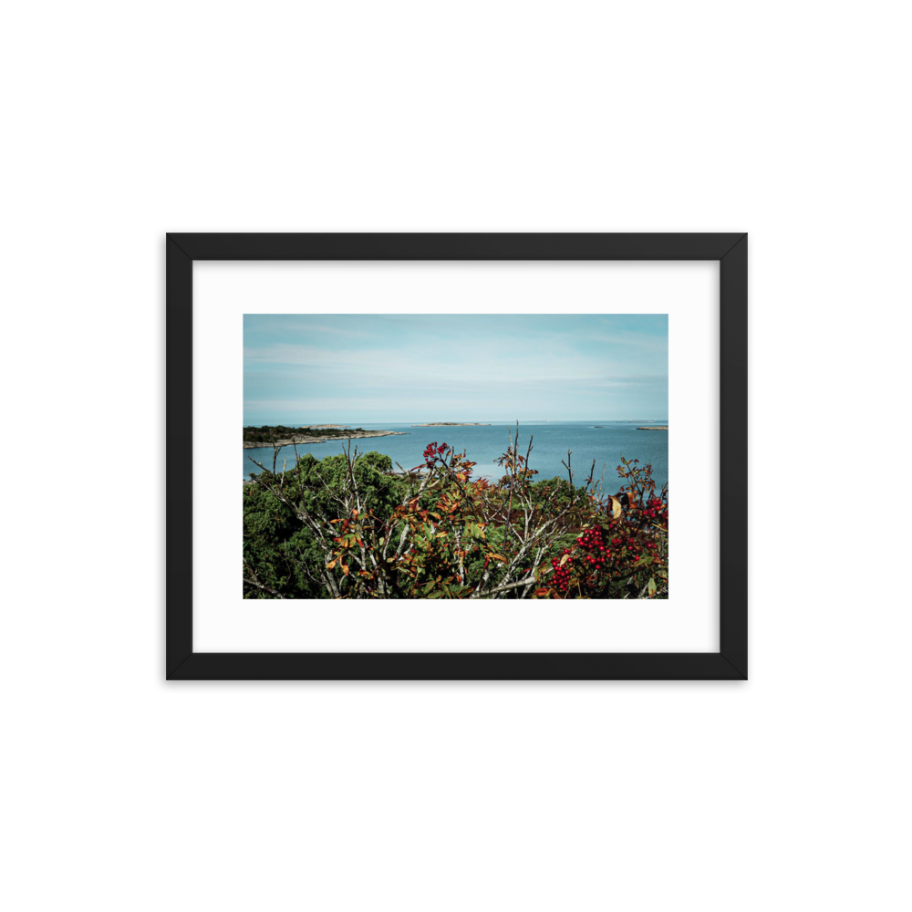 Framed Photo Print Poster 